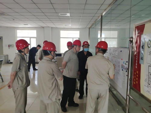 集团公司领导到我厂调研 四降两提 工程及成本网格化工作